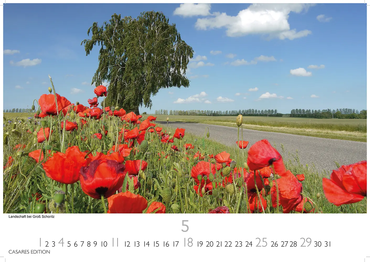 Bild: 9781835242919 | Rügen 2025 S 24x35cm | Hiddensee | Kalender | 14 S. | Deutsch | 2025