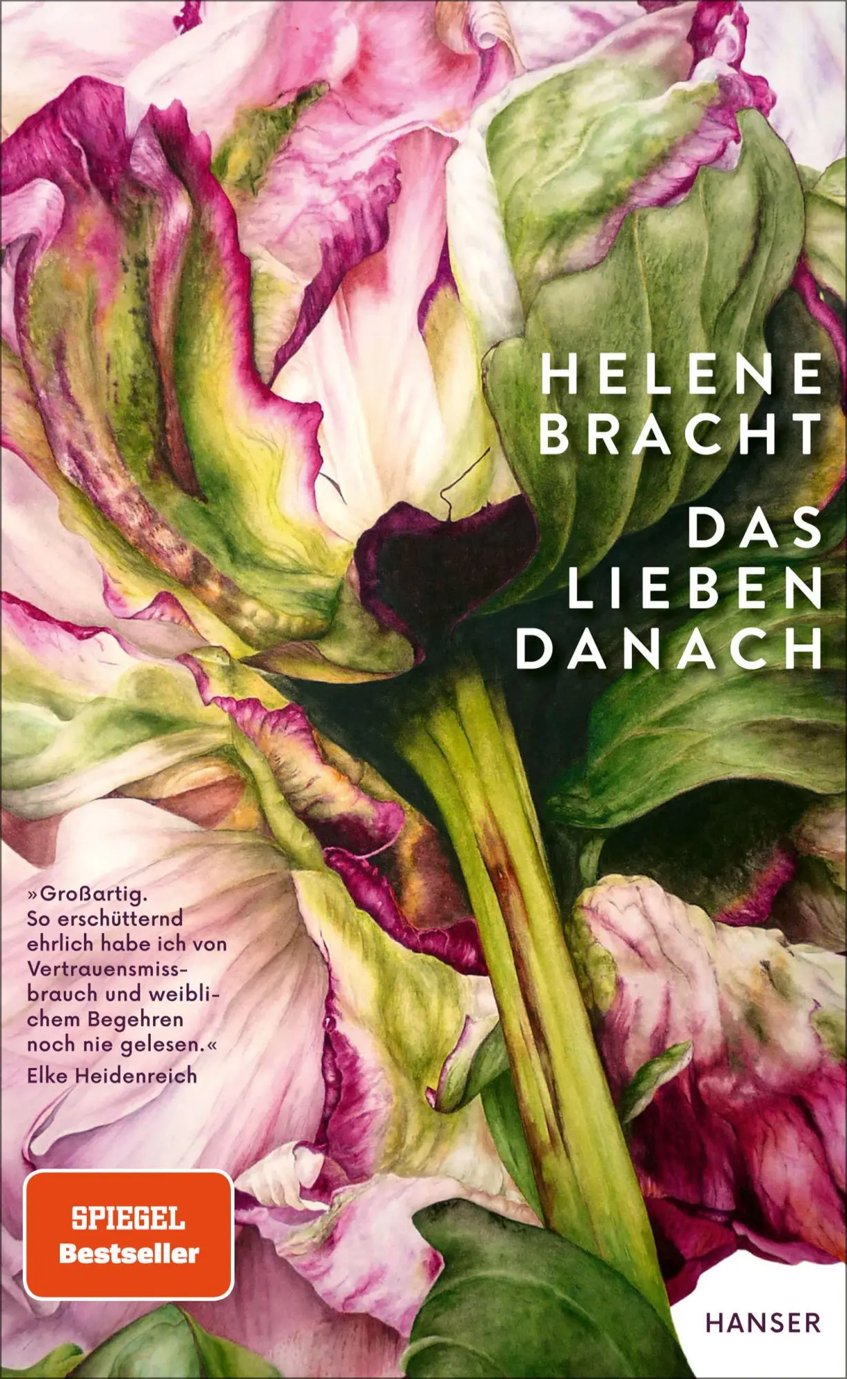 Cover: 9783446282919 | Das Lieben danach | Helene Bracht | Buch | 192 S. | Deutsch | 2025