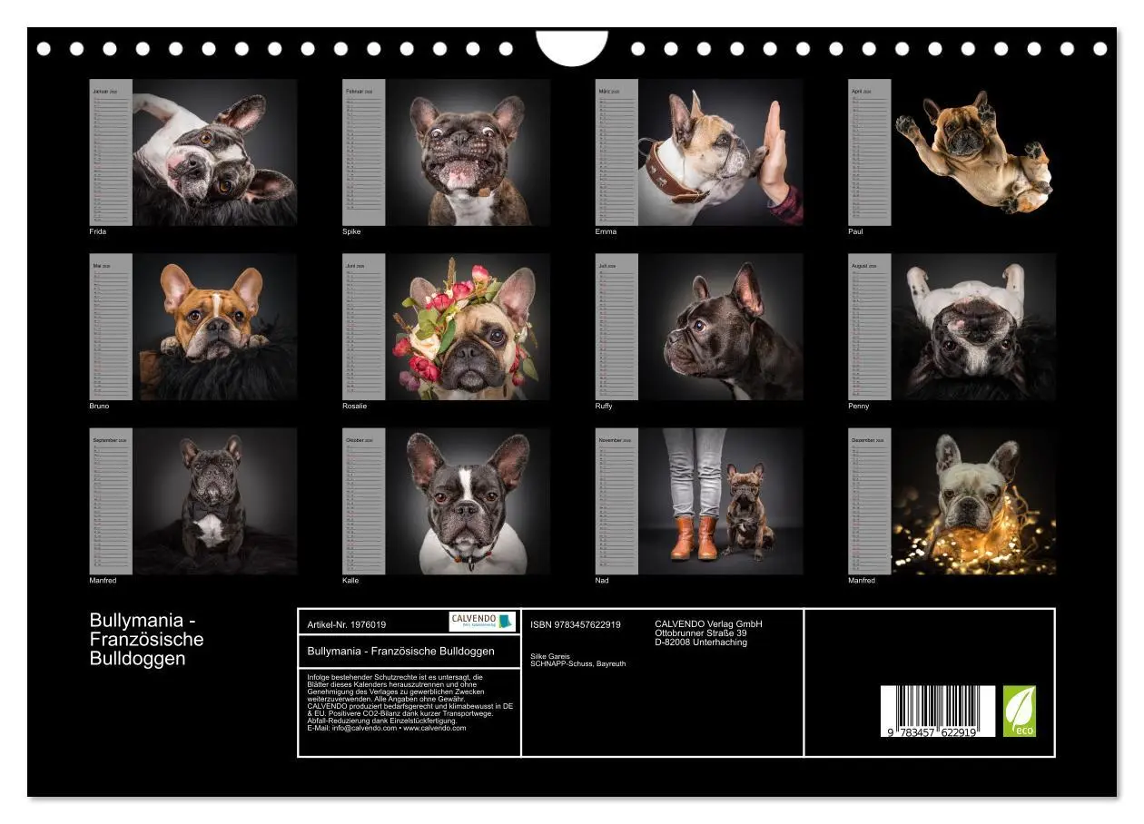 Bild: 9783457622919 | Bullymania - Französische Bulldoggen (Wandkalender 2026 DIN A4...