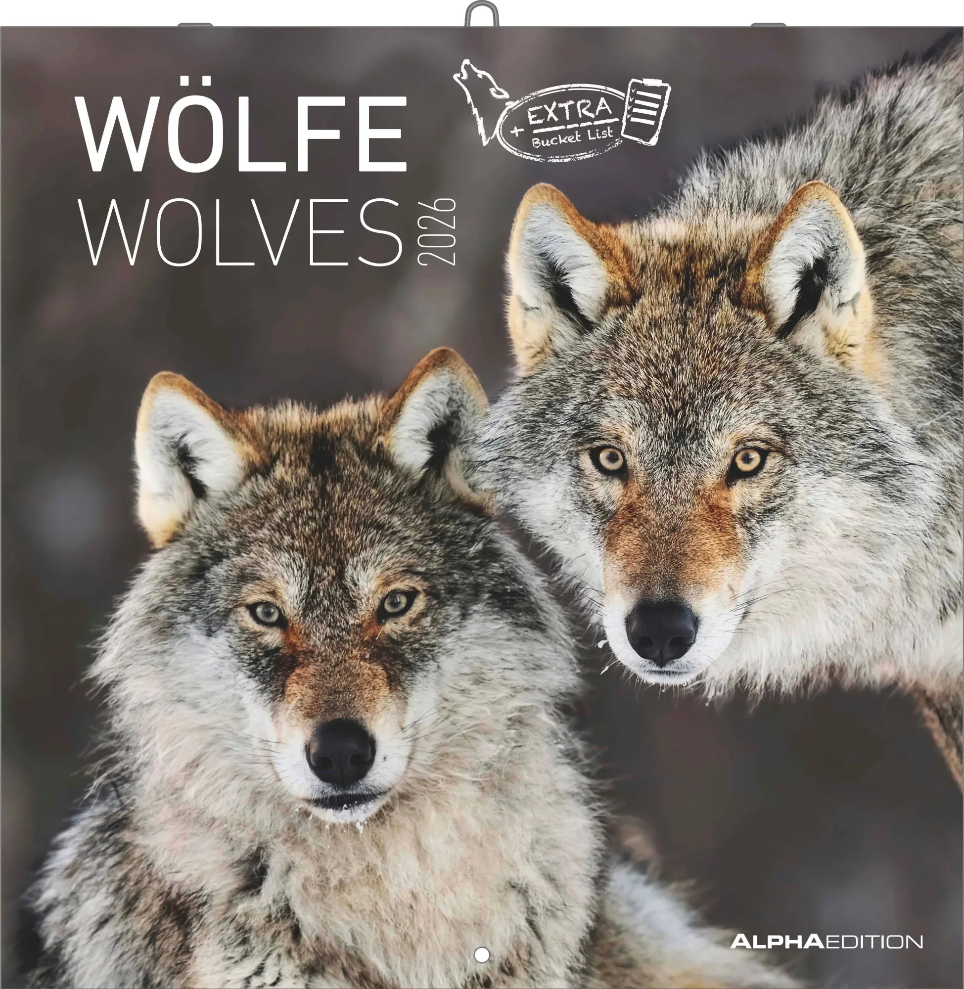 Cover: 4069095003019 | Wölfe 2026 - Broschürenkalender 30x30 cm (30x60 geöffnet) -...