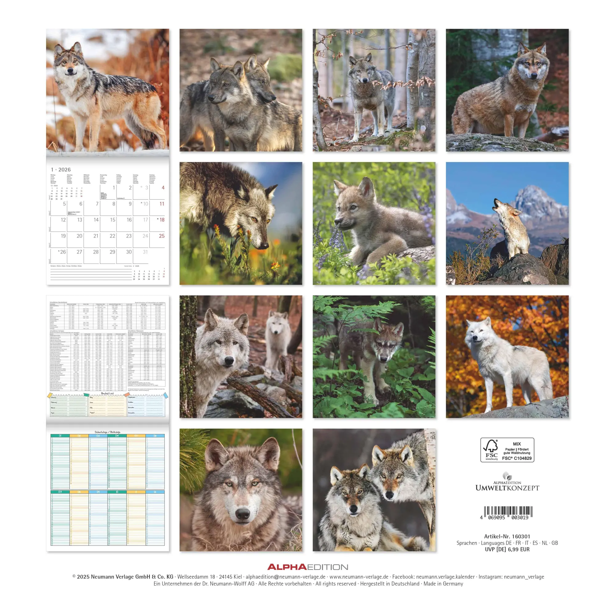 Rückseite: 4069095003019 | Wölfe 2026 - Broschürenkalender 30x30 cm (30x60 geöffnet) -...
