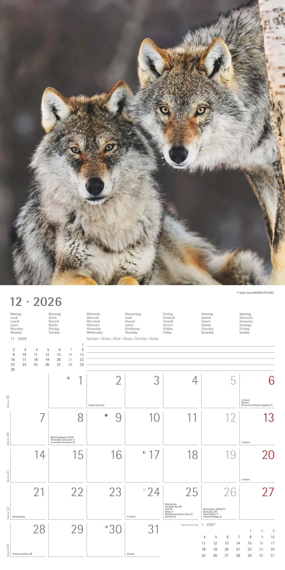Bild: 4069095003019 | Wölfe 2026 - Broschürenkalender 30x30 cm (30x60 geöffnet) -...