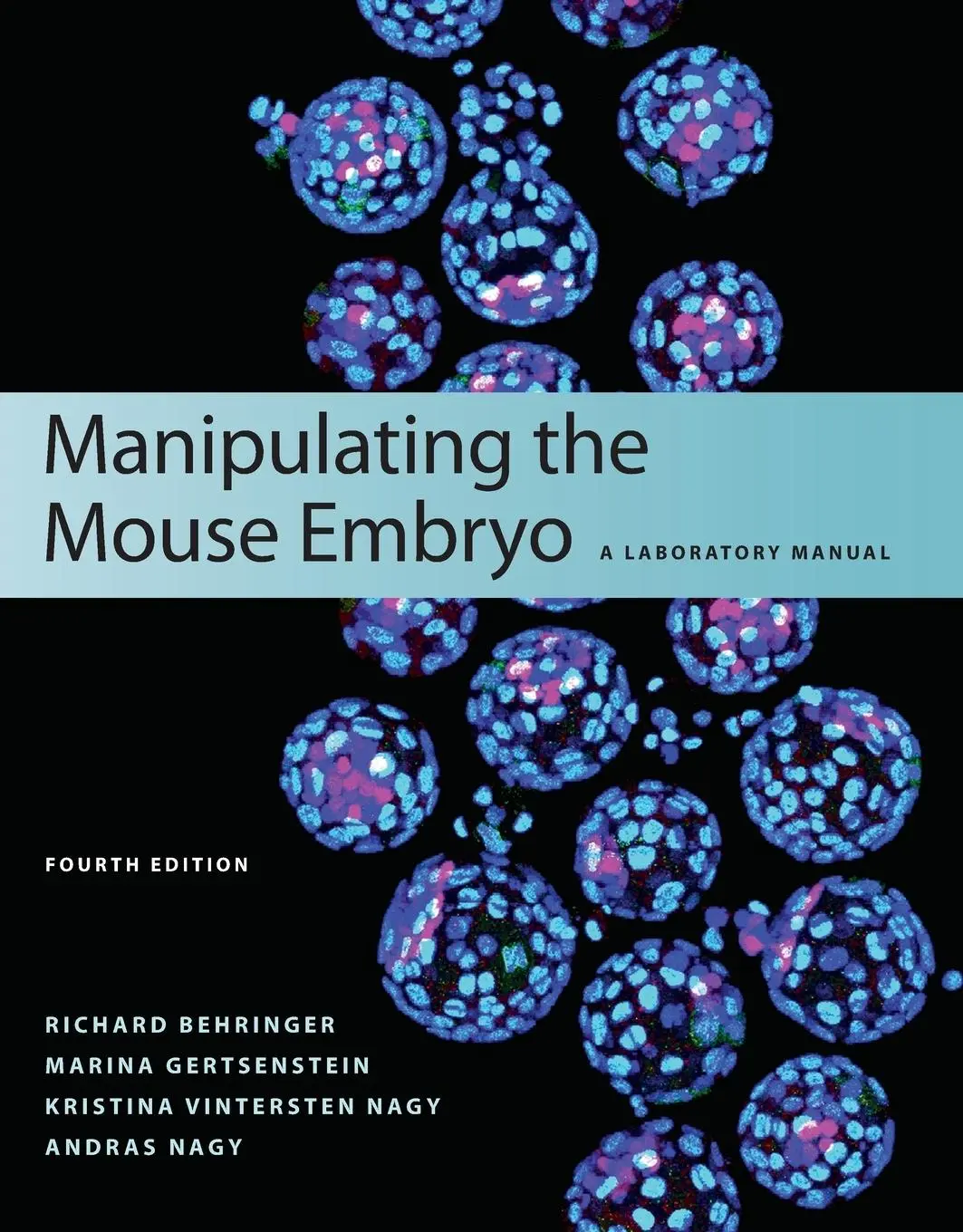 Cover: 9781936113019 | Manipulating the Mouse Embryo | Richard Behringer (u. a.) | Buch