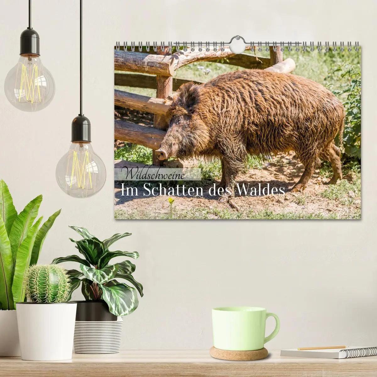 Bild: 9783516603019 | Wildschweine - Im Schatten des Waldes (Wandkalender 2026 DIN A4...
