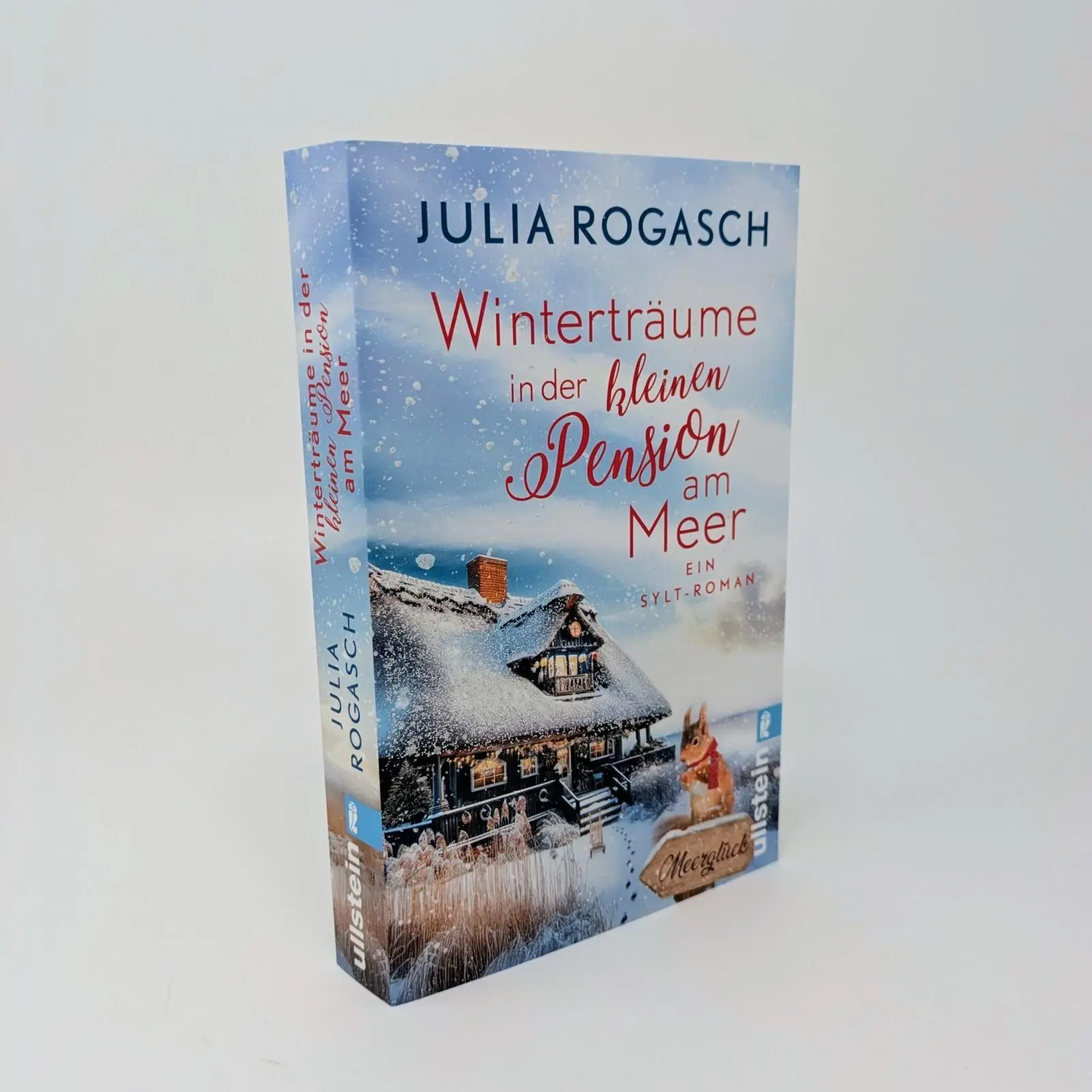 Bild: 9783548073019 | Winterträume in der kleinen Pension am Meer | Julia Rogasch | Buch