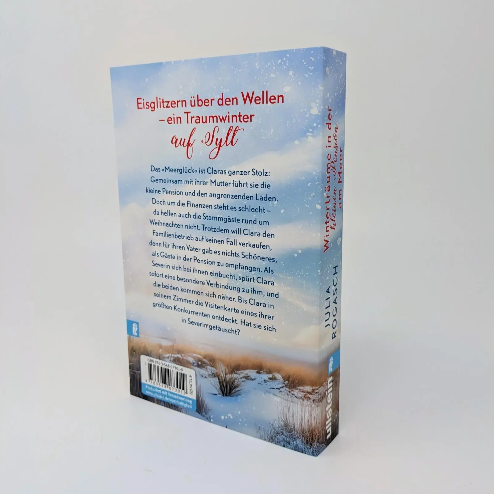 Bild: 9783548073019 | Winterträume in der kleinen Pension am Meer | Julia Rogasch | Buch