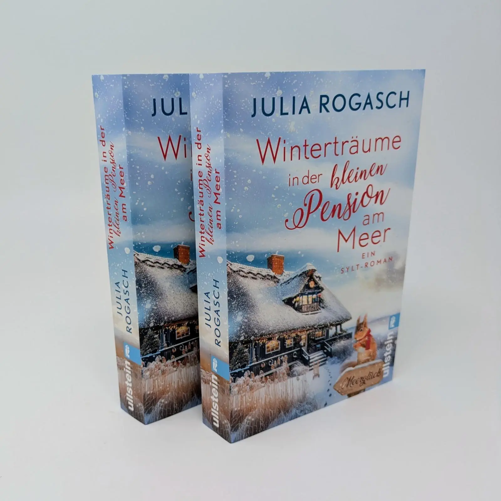 Bild: 9783548073019 | Winterträume in der kleinen Pension am Meer | Julia Rogasch | Buch