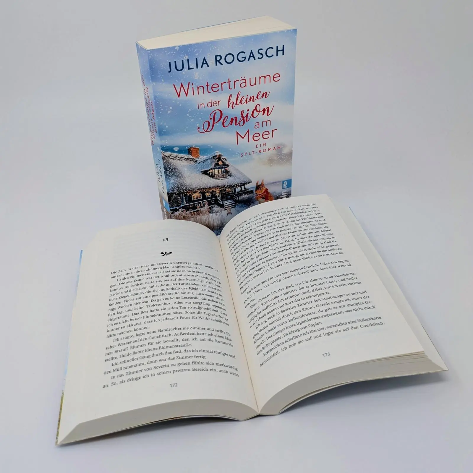 Bild: 9783548073019 | Winterträume in der kleinen Pension am Meer | Julia Rogasch | Buch