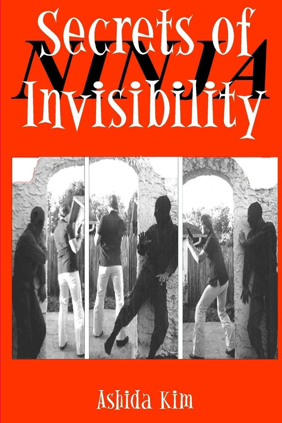 Cover: 9780557653119 | Secrets of Invisibility | Ashida Kim | Taschenbuch | Englisch | 2010