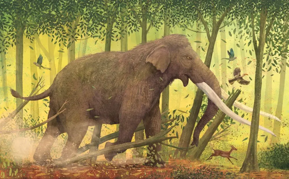 Bild: 9781839943119 | MEGA: The Most Enormous Animals Ever | Jules Howard | Buch | Englisch