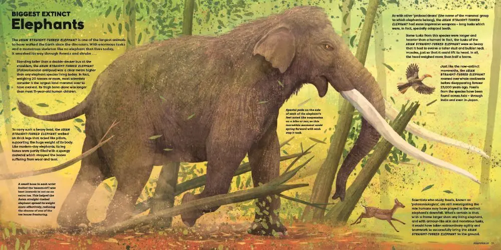 Bild: 9781839943119 | MEGA: The Most Enormous Animals Ever | Jules Howard | Buch | Englisch