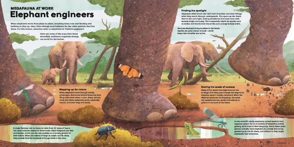 Bild: 9781839943119 | MEGA: The Most Enormous Animals Ever | Jules Howard | Buch | Englisch