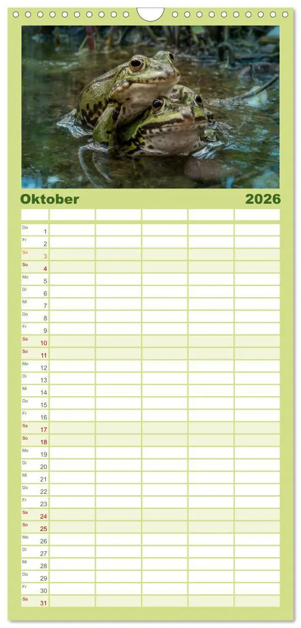 Bild: 9783516523119 | Familienplaner 2026 - Glückliche Frösche mit 5 Spalten...