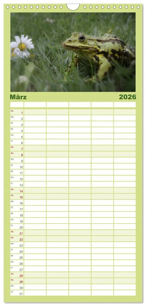 Bild: 9783516523119 | Familienplaner 2026 - Glückliche Frösche mit 5 Spalten...