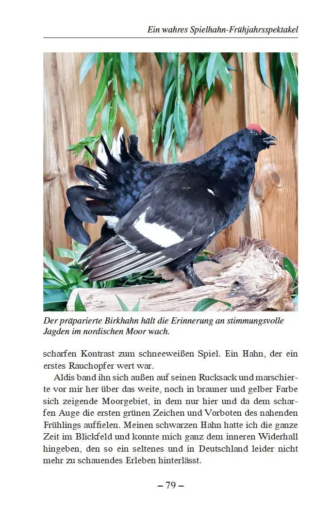 Bild: 9783702023119 | Weidwerk im Baltikum und in heimischen Revieren | Gerhard Böttger