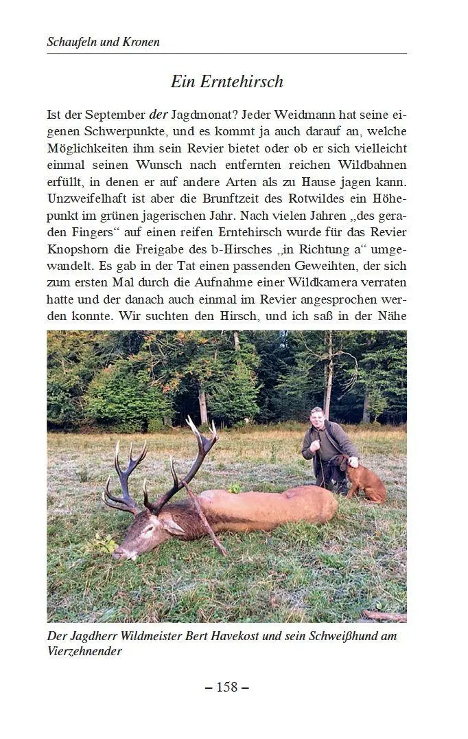 Bild: 9783702023119 | Weidwerk im Baltikum und in heimischen Revieren | Gerhard Böttger