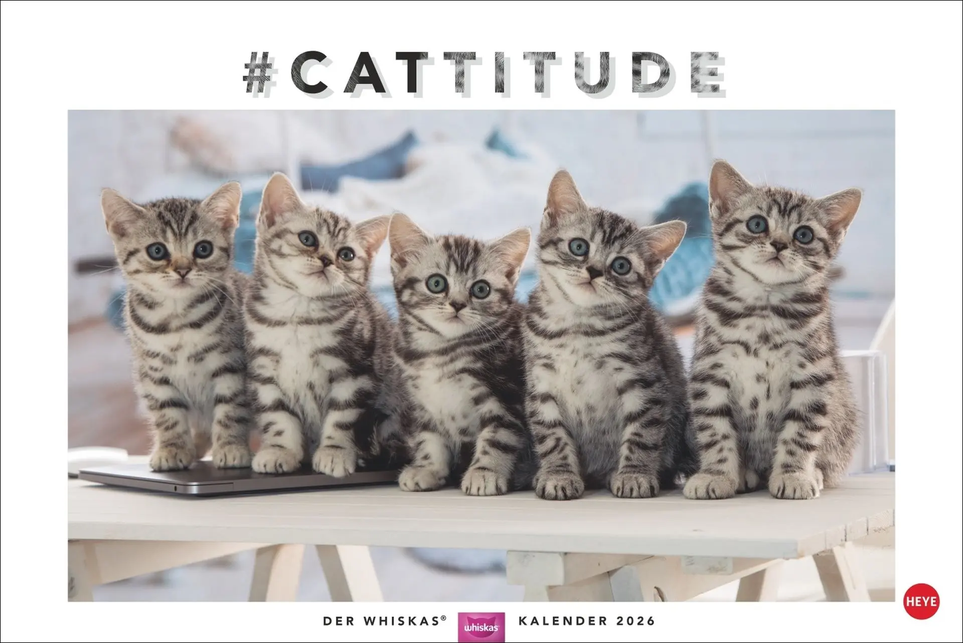 Cover: 9783756413119 | Whiskas Katzenkalender 2026 | Heye | Kalender | Spiralbindung | 14 S.