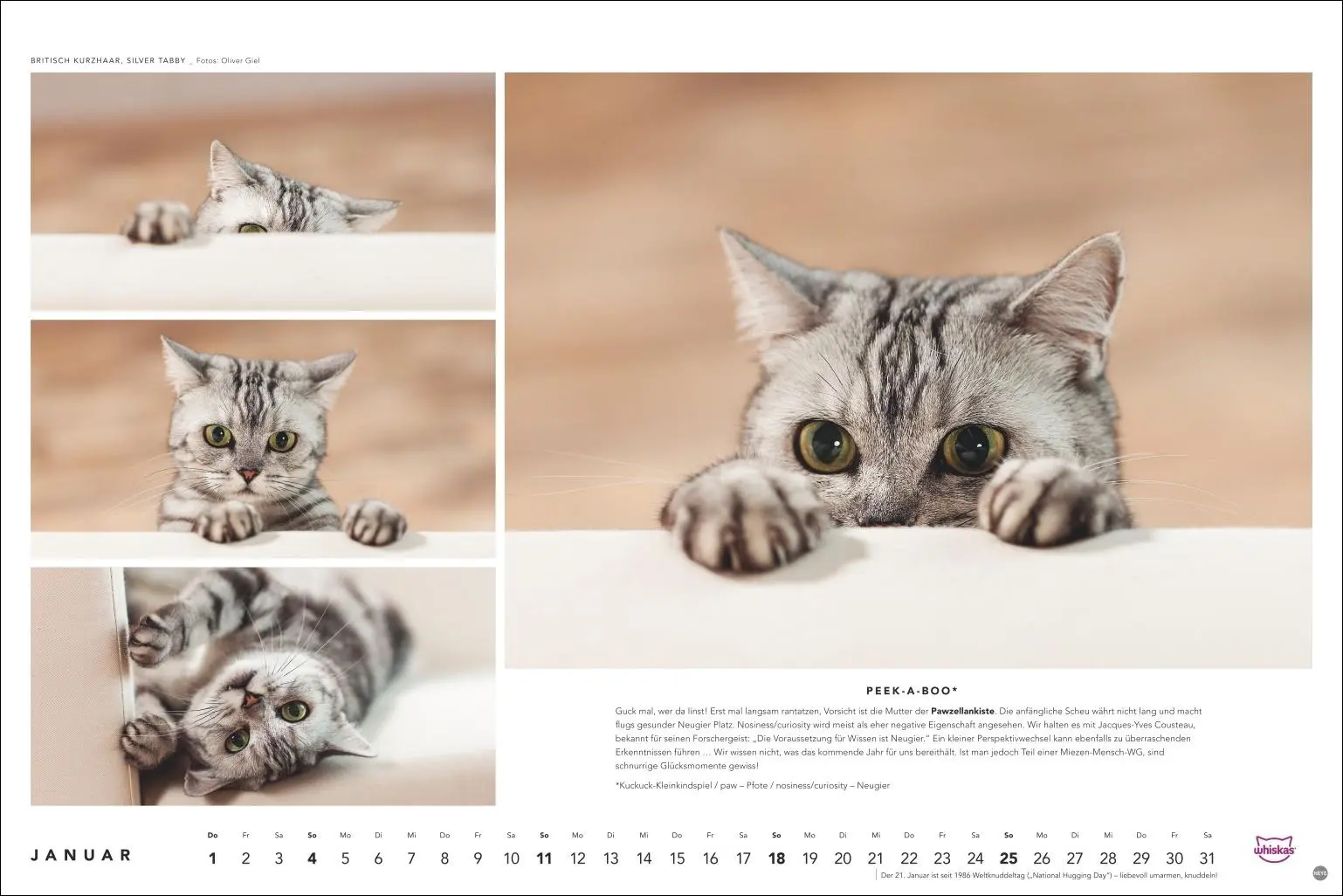 Bild: 9783756413119 | Whiskas Katzenkalender 2026 | Heye | Kalender | Spiralbindung | 14 S.