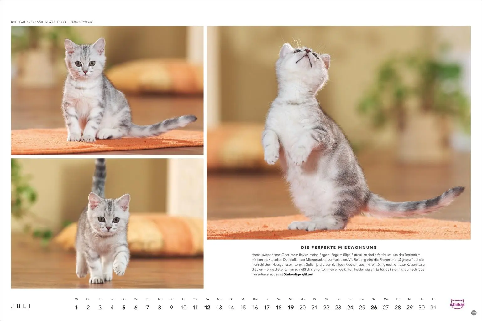 Bild: 9783756413119 | Whiskas Katzenkalender 2026 | Heye | Kalender | Spiralbindung | 14 S.