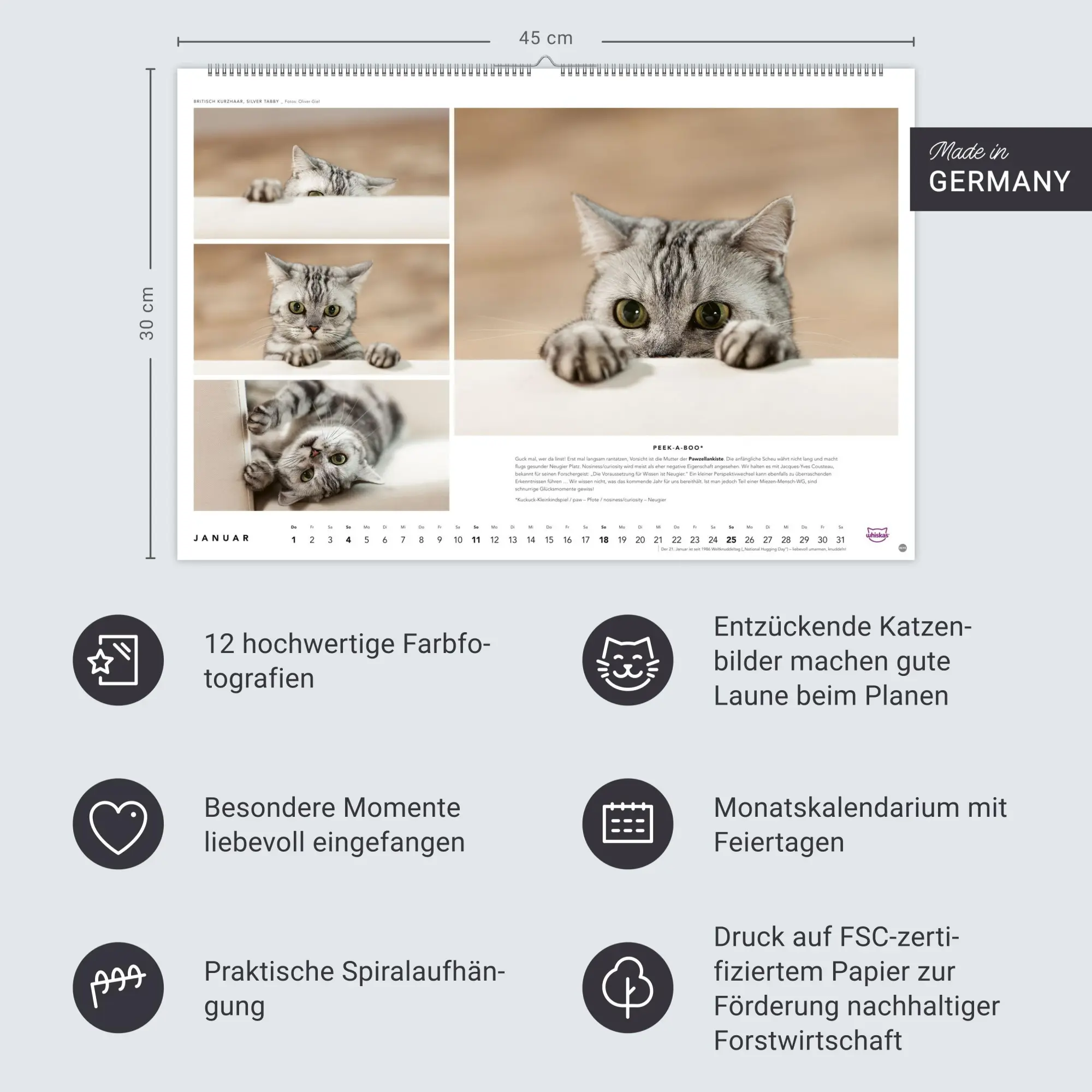 Bild: 9783756413119 | Whiskas Katzenkalender 2026 | Heye | Kalender | Spiralbindung | 14 S.