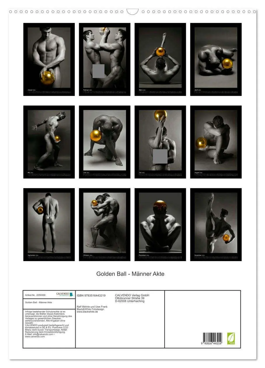 Bild: 9783516443219 | Golden Ball - Männer Akte (Wandkalender 2026 DIN A2 hoch), CALVENDO...