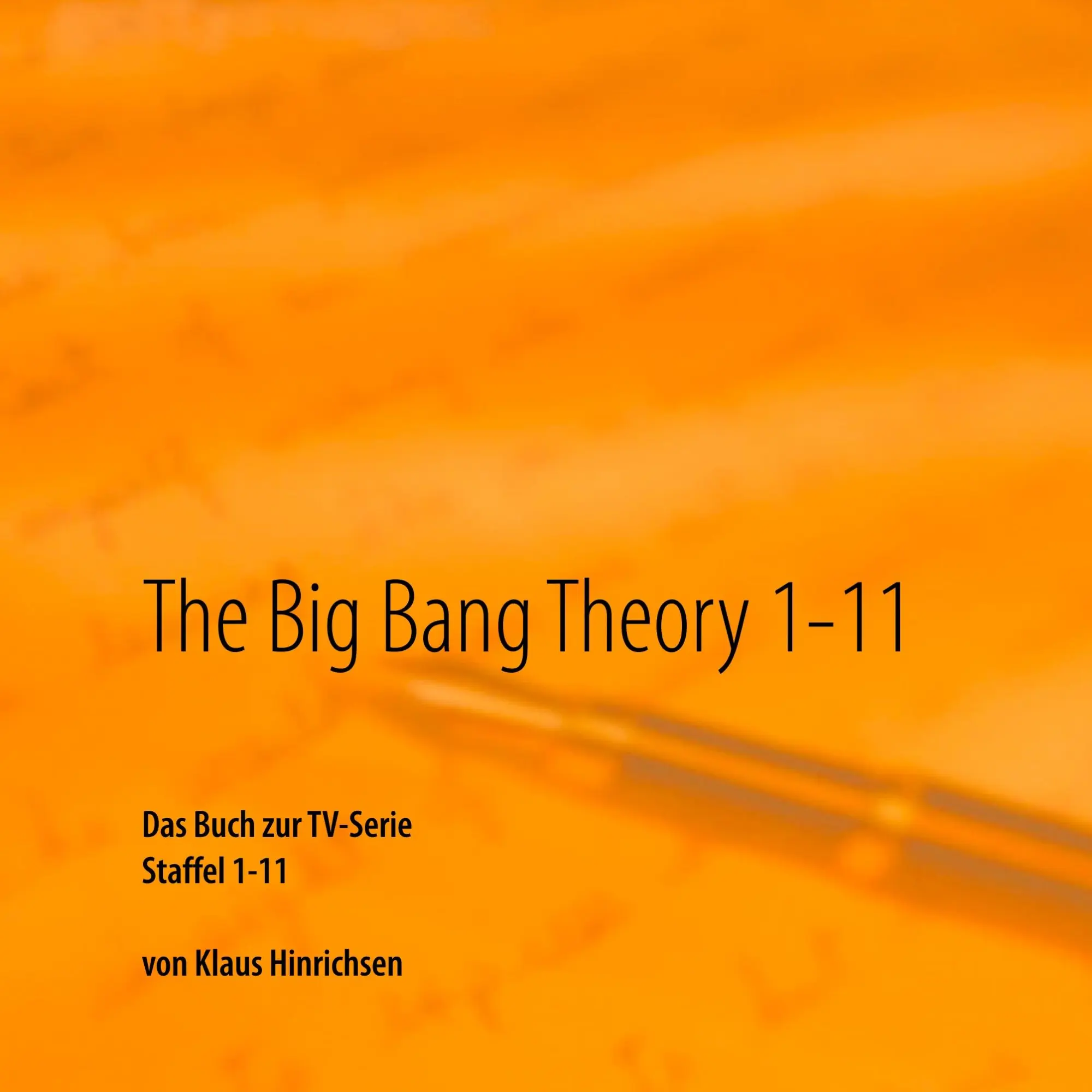 Cover: 9783748103219 | The Big Bang Theory 1-11 | Das Buch zur TV-Serie Staffel 1 - 11 | Buch
