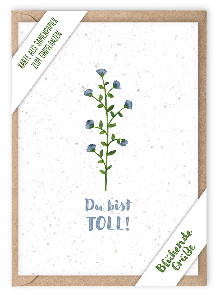 Cover: 4250222943319 | Du bist toll! | Faltkarte aus Samenpapier | Box | 1 S. | 494331 | 2024