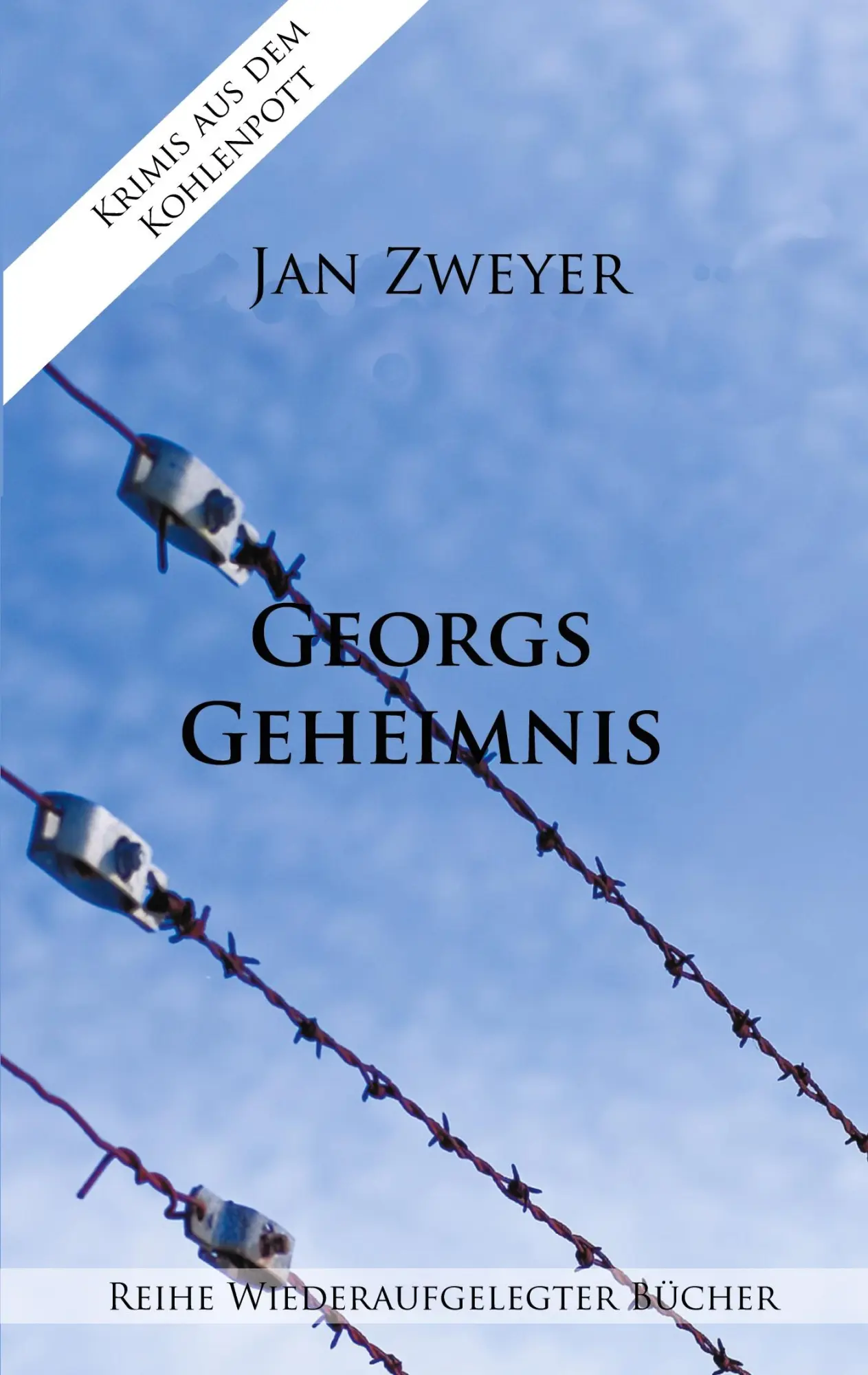 Cover: 9783752673319 | Georgs Geheimnis | Jan Zweyer | Taschenbuch | Paperback | 276 S.