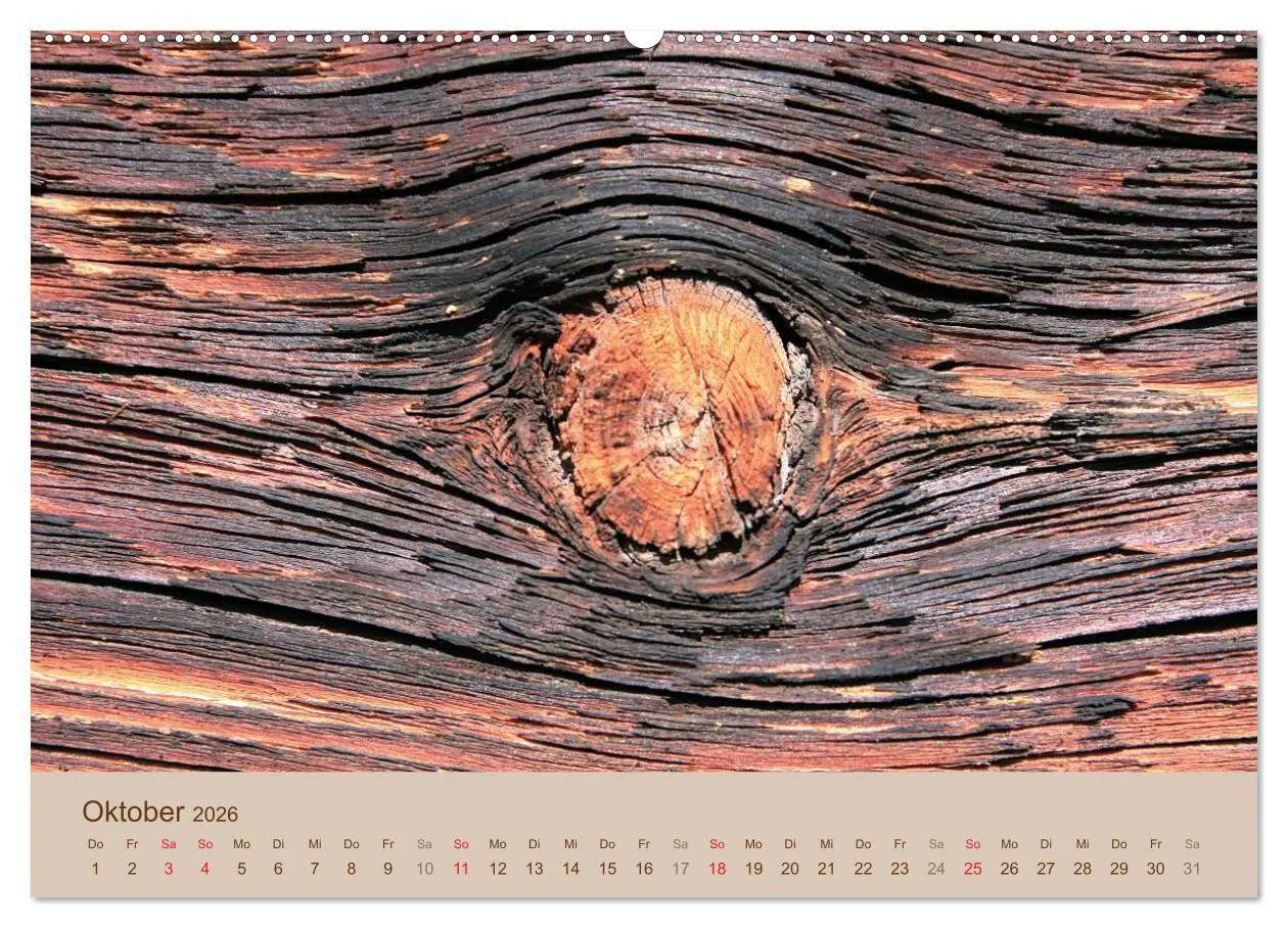Bild: 9783457953419 | Farben des Holzes (Wandkalender 2026 DIN A2 quer), CALVENDO...