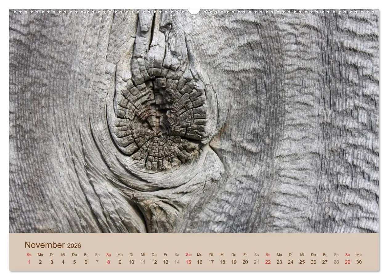 Bild: 9783457953419 | Farben des Holzes (Wandkalender 2026 DIN A2 quer), CALVENDO...