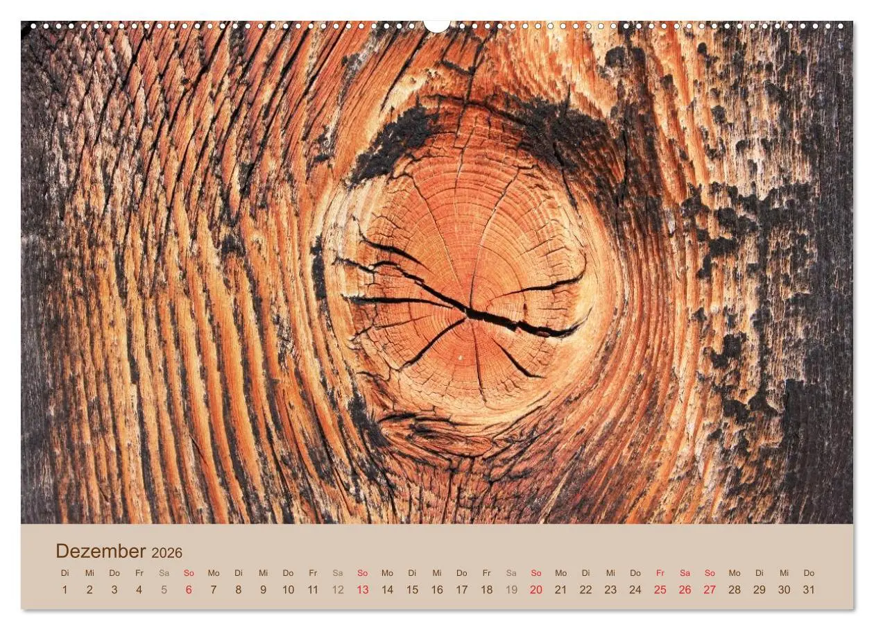 Bild: 9783457953419 | Farben des Holzes (Wandkalender 2026 DIN A2 quer), CALVENDO...