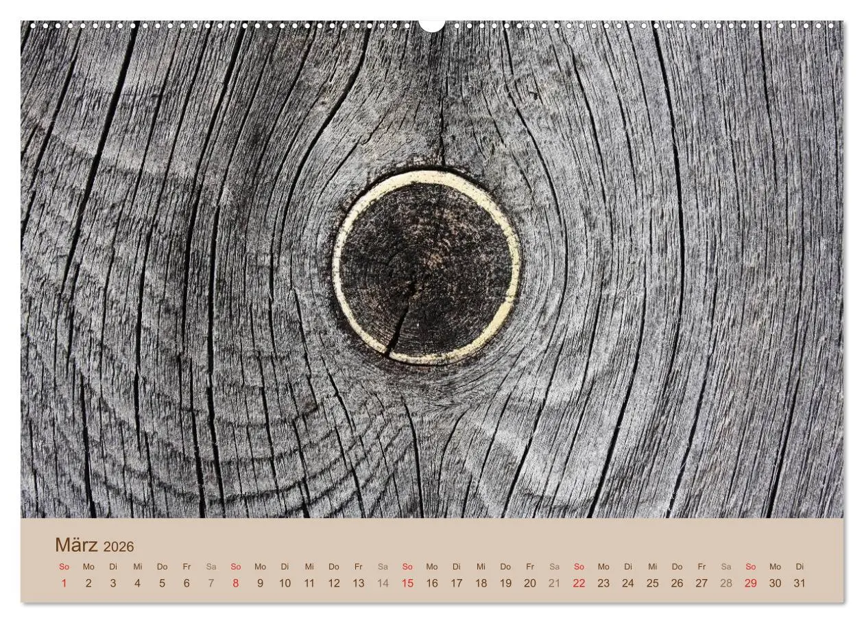 Bild: 9783457953419 | Farben des Holzes (Wandkalender 2026 DIN A2 quer), CALVENDO...