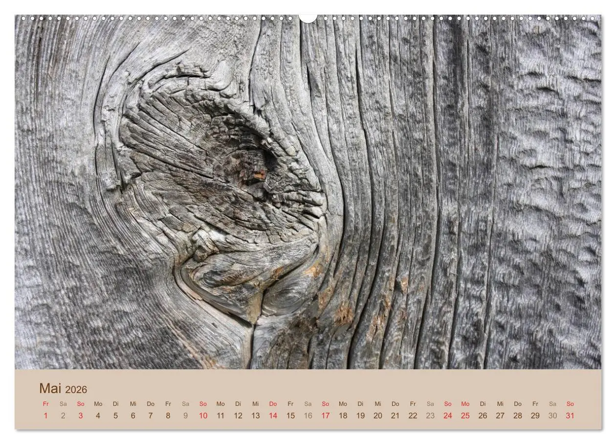 Bild: 9783457953419 | Farben des Holzes (Wandkalender 2026 DIN A2 quer), CALVENDO...