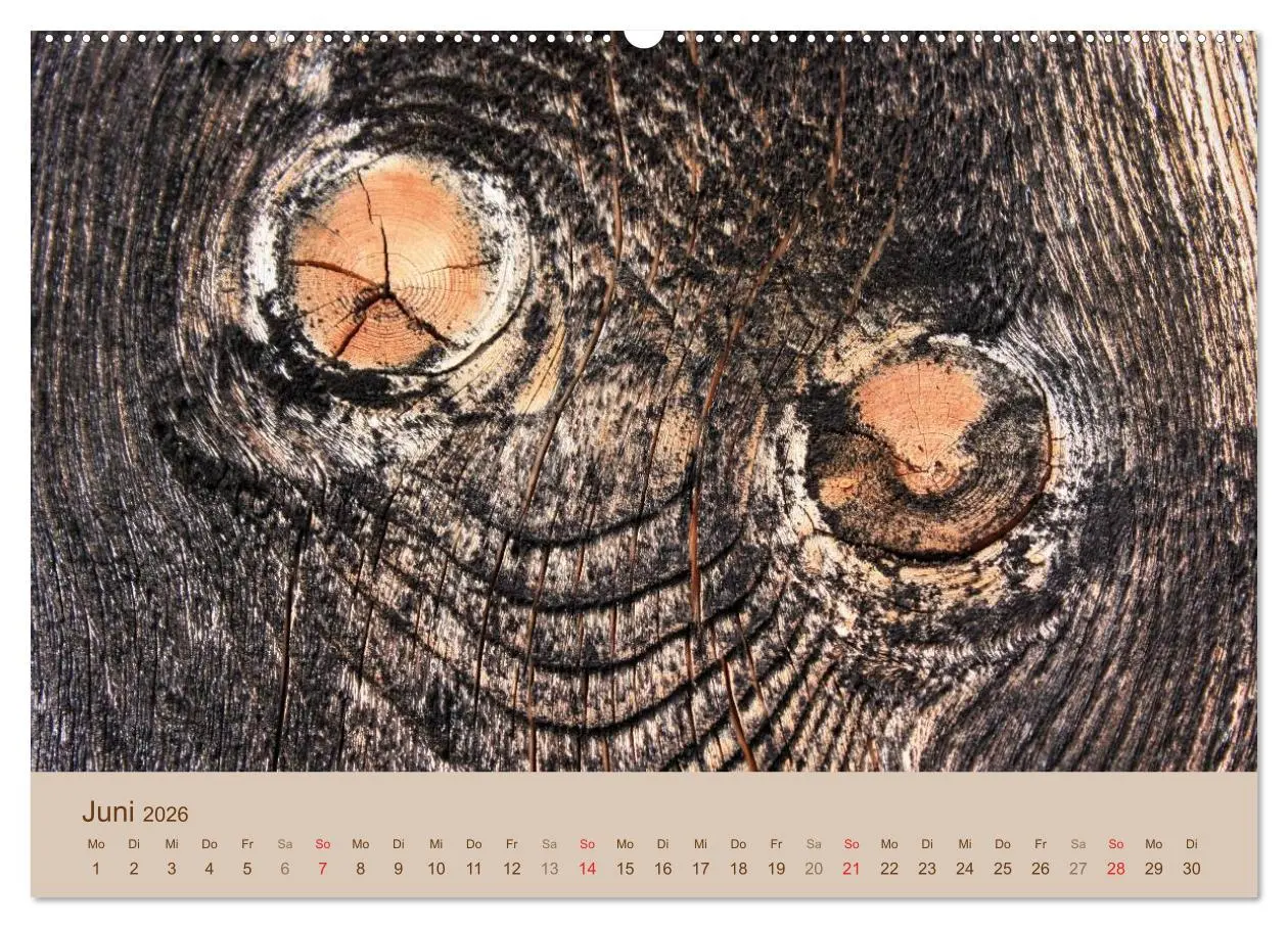 Bild: 9783457953419 | Farben des Holzes (Wandkalender 2026 DIN A2 quer), CALVENDO...