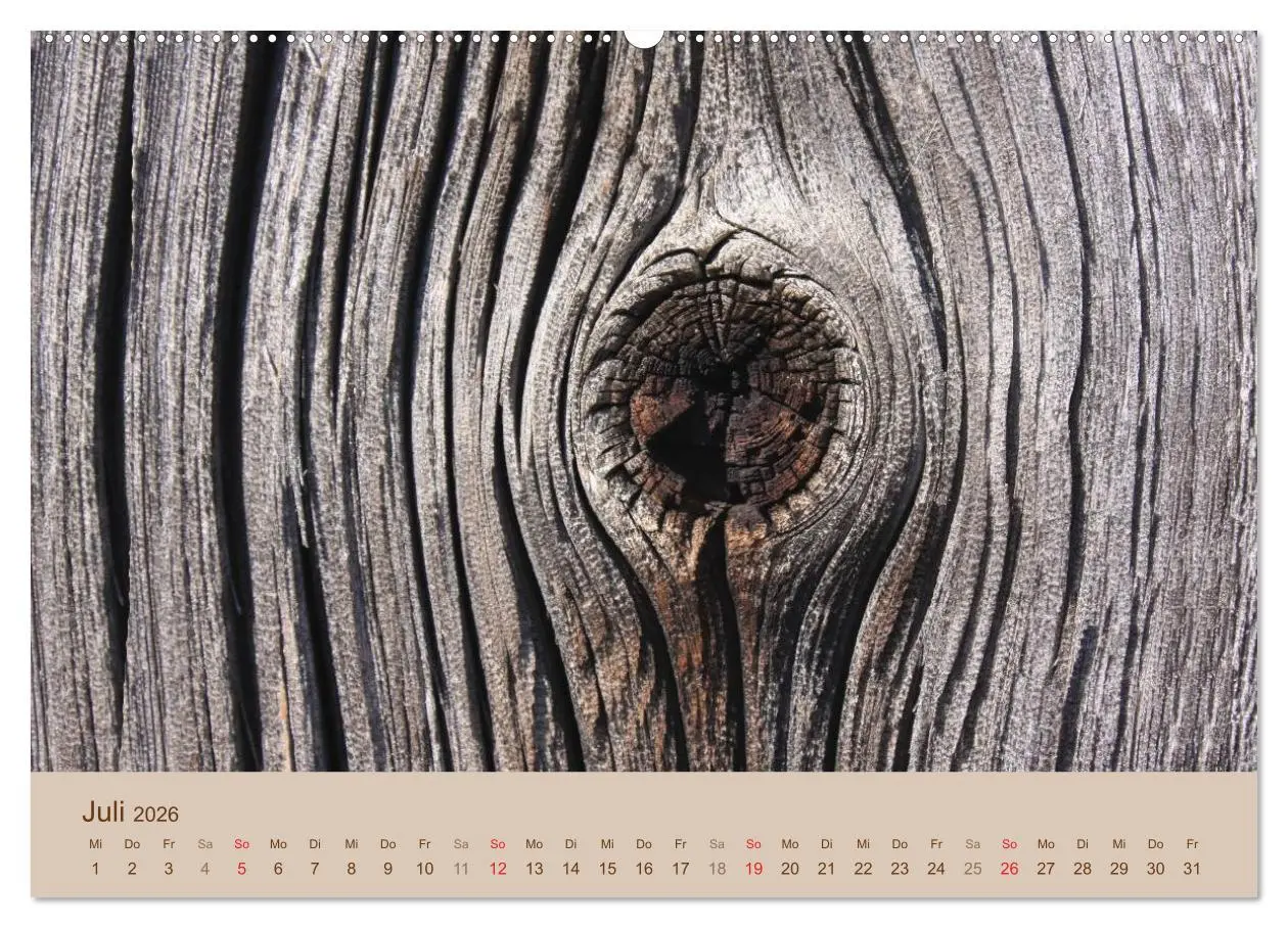 Bild: 9783457953419 | Farben des Holzes (Wandkalender 2026 DIN A2 quer), CALVENDO...