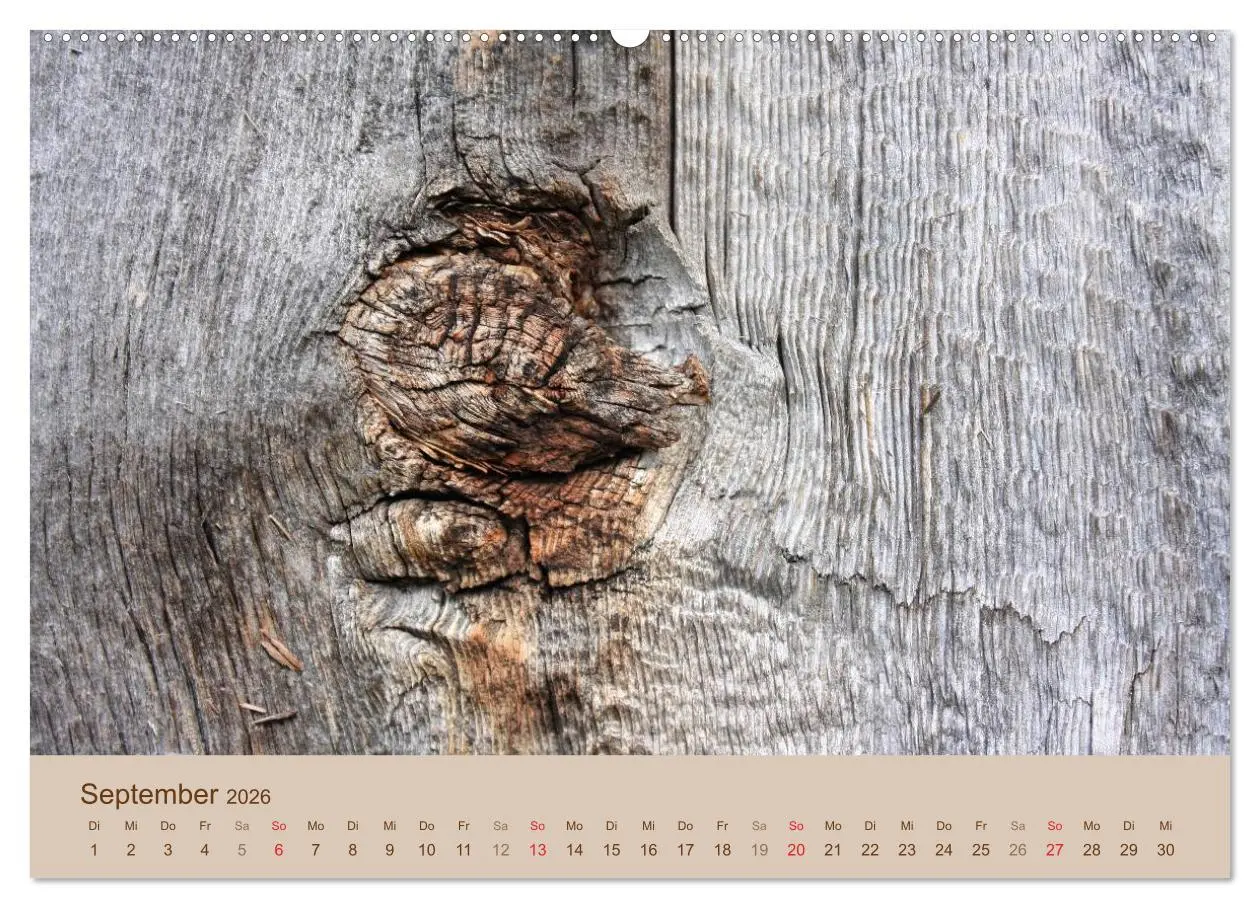Bild: 9783457953419 | Farben des Holzes (Wandkalender 2026 DIN A2 quer), CALVENDO...