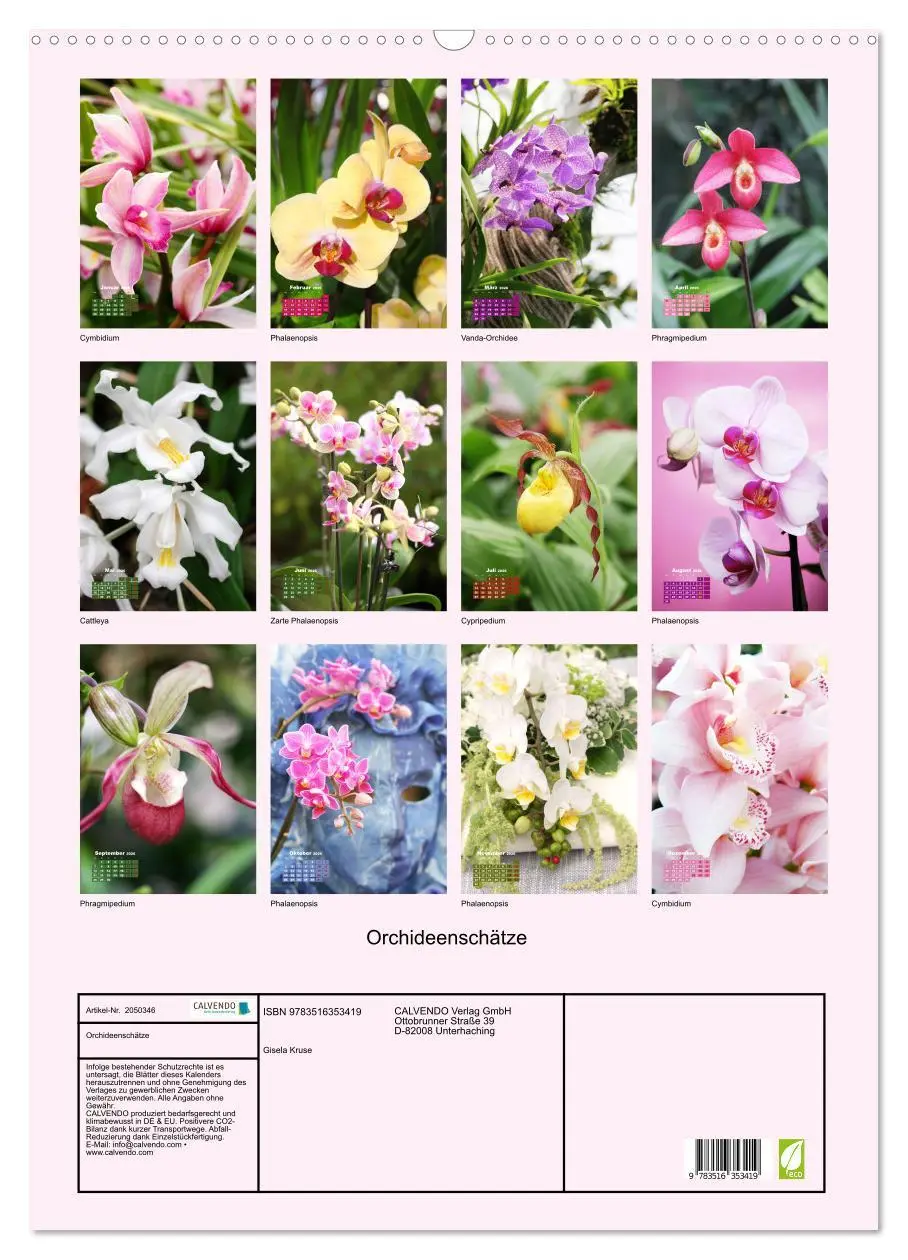 Bild: 9783516353419 | Orchideenschätze (Wandkalender 2026 DIN A2 hoch), CALVENDO...