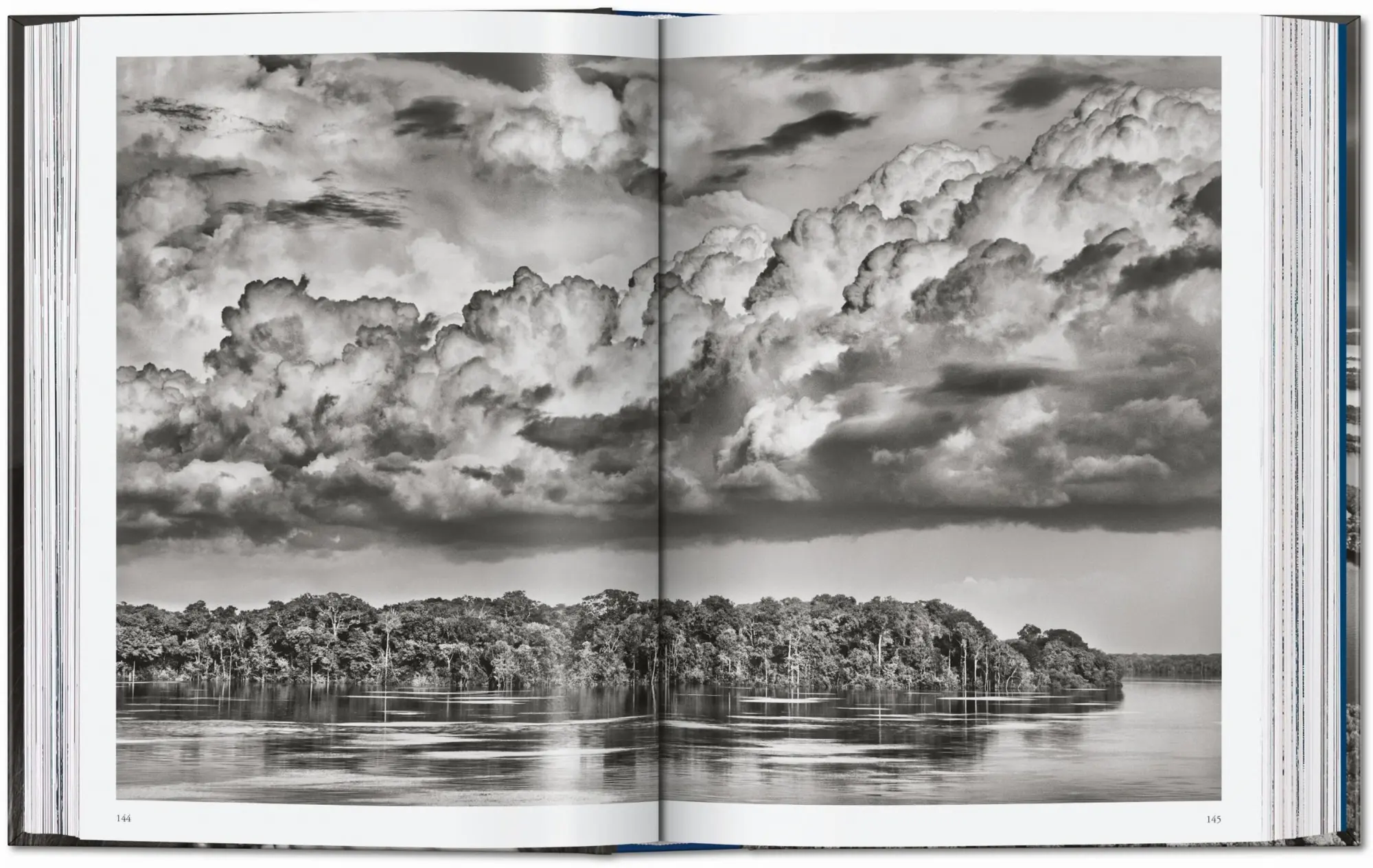 Bild: 9783754403419 | Sebastião Salgado. Amazônia. 45th Ed. | Lélia Wanick Salgado | Buch