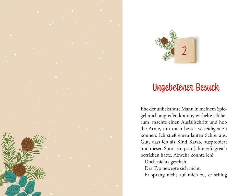 Bild: 9783765533419 | Entführt im Advent - kein Krimi: Adventskalendernovelle | Schwarzkopf