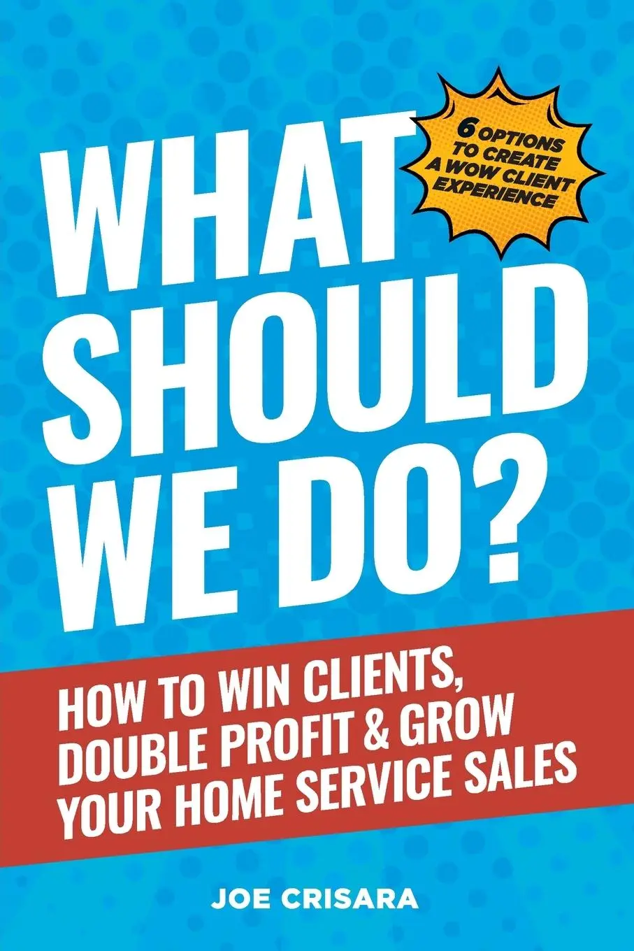 Cover: 9798989553419 | What Should We Do? | Joe Crisara | Taschenbuch | Englisch | 2024