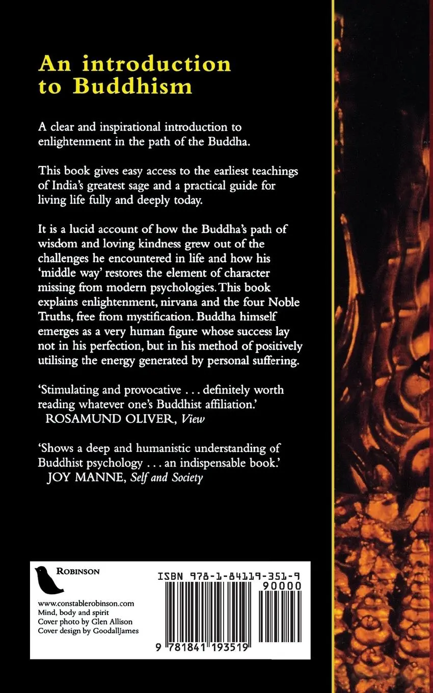 Rückseite: 9781841193519 | The Feeling Buddha | David Brazier | Taschenbuch | Englisch | 2001