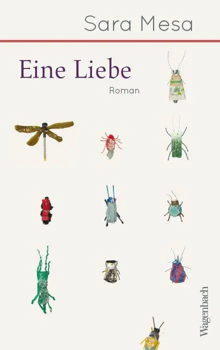 Cover: 9783803133519 | Eine Liebe | Roman, Quartbuch - Literatur | Sara Mesa | Buch | 192 S.