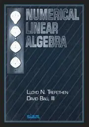 Cover: 9780898713619 | Numerical Linear Algebra | Lloyd N Trefethen (u. a.) | Taschenbuch