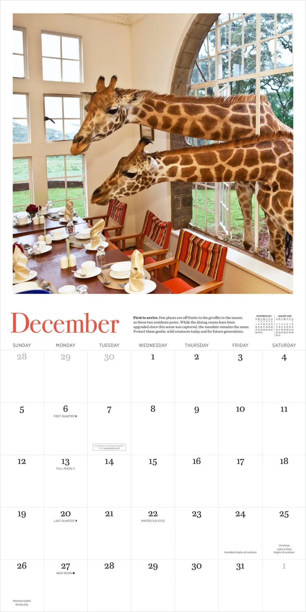 Bild: 9781523533619 | Giraffe Manor Wall Calendar 2027 | Robin D Moore (u. a.) | Kalender