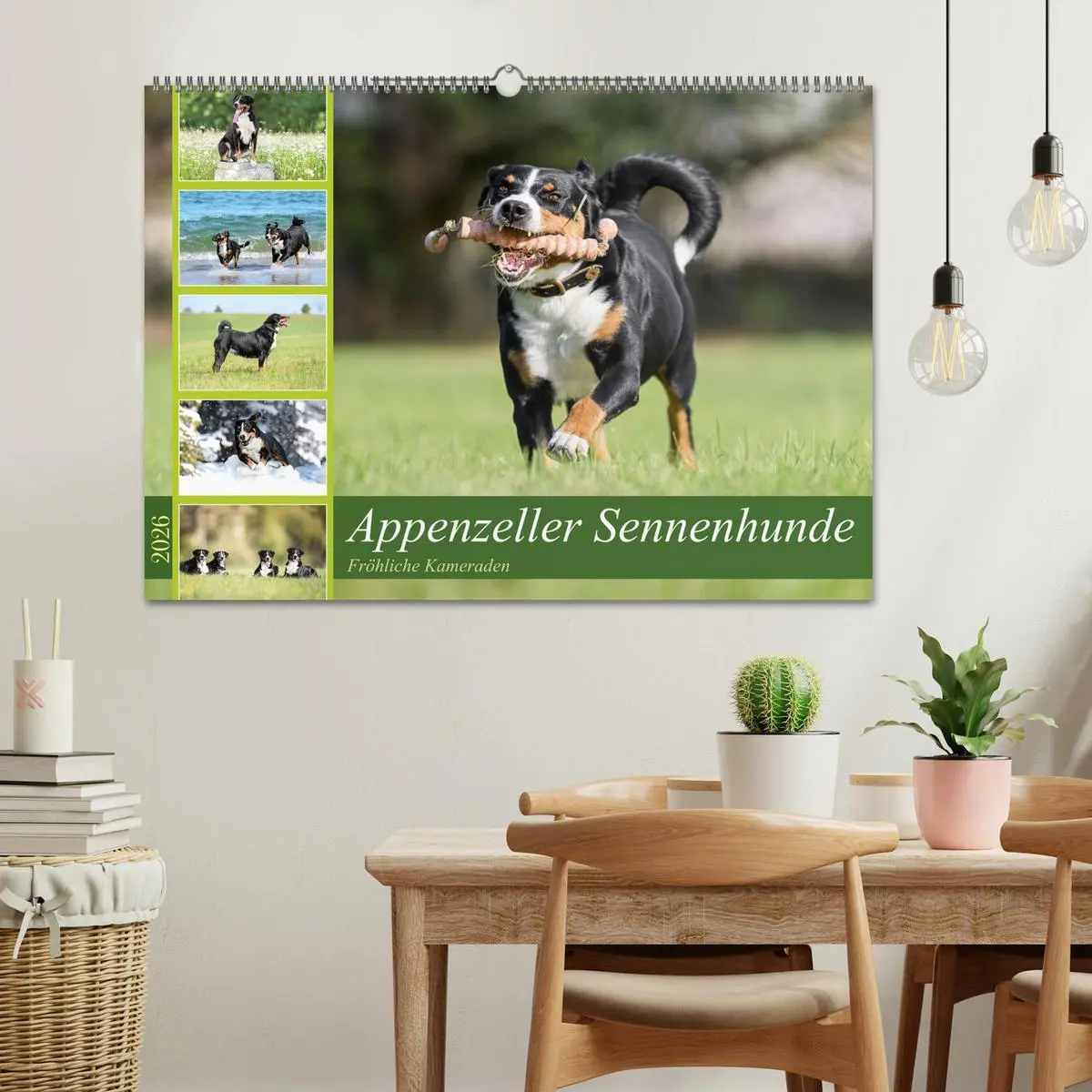 Bild: 9783457483619 | Appenzeller Sennenhunde - Fröhliche Kameraden (Wandkalender 2026...