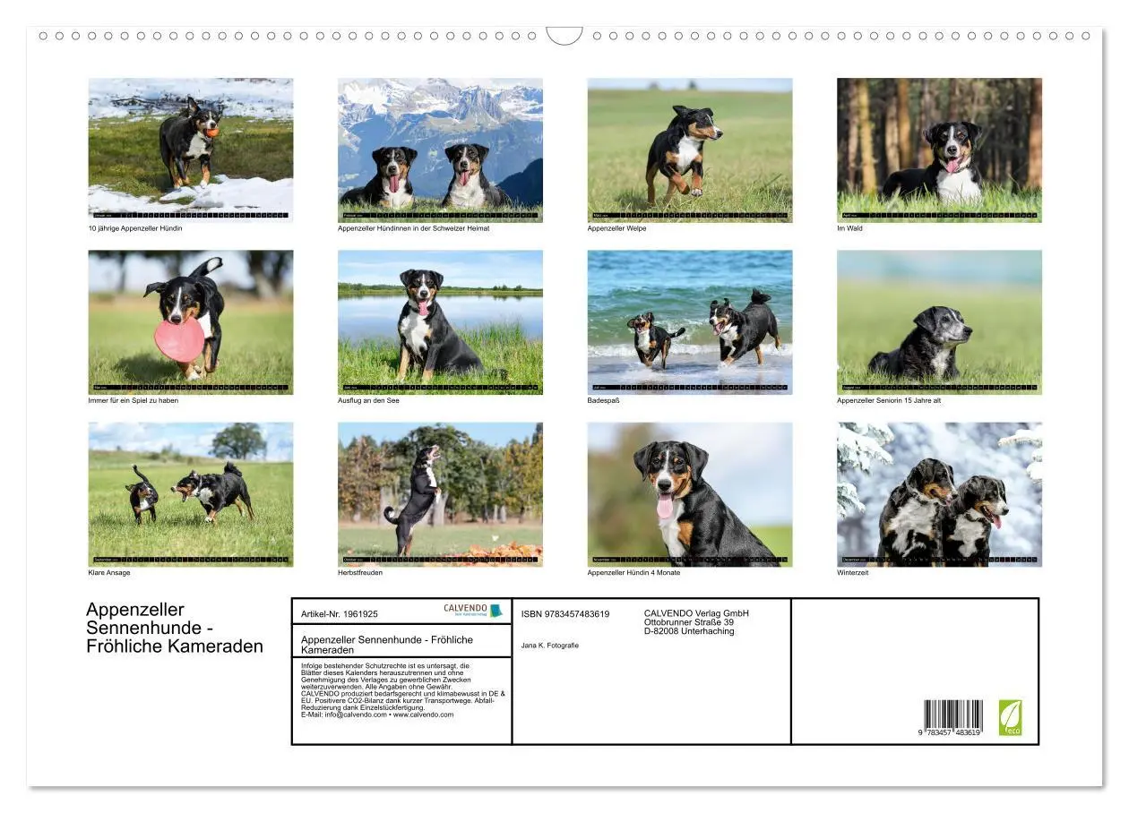 Bild: 9783457483619 | Appenzeller Sennenhunde - Fröhliche Kameraden (Wandkalender 2026...