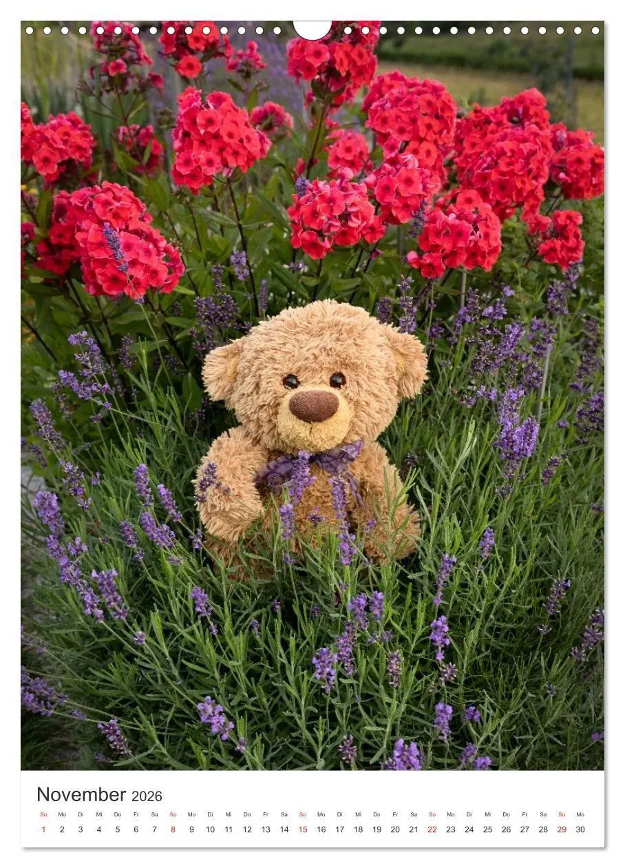 Bild: 9783516713619 | Travelling Teddy liebt Blumen und Blüten (Wandkalender 2026 DIN A3...
