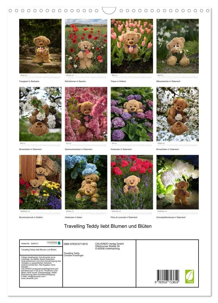 Bild: 9783516713619 | Travelling Teddy liebt Blumen und Blüten (Wandkalender 2026 DIN A3...