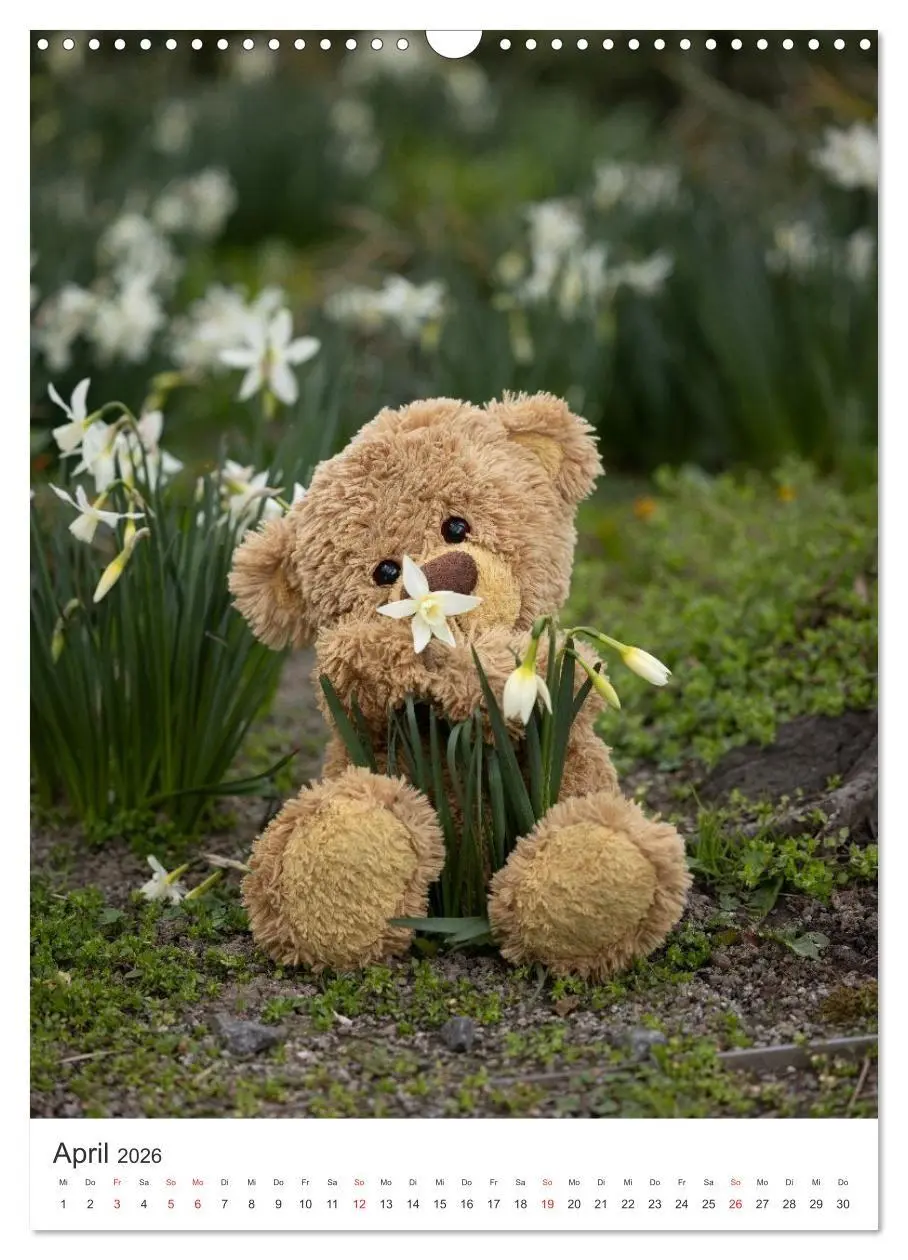 Bild: 9783516713619 | Travelling Teddy liebt Blumen und Blüten (Wandkalender 2026 DIN A3...
