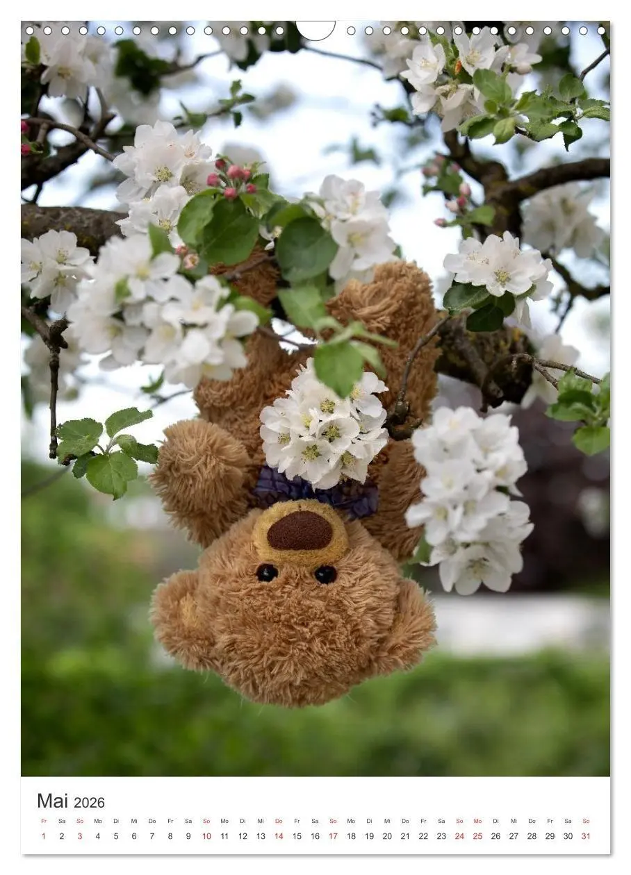 Bild: 9783516713619 | Travelling Teddy liebt Blumen und Blüten (Wandkalender 2026 DIN A3...